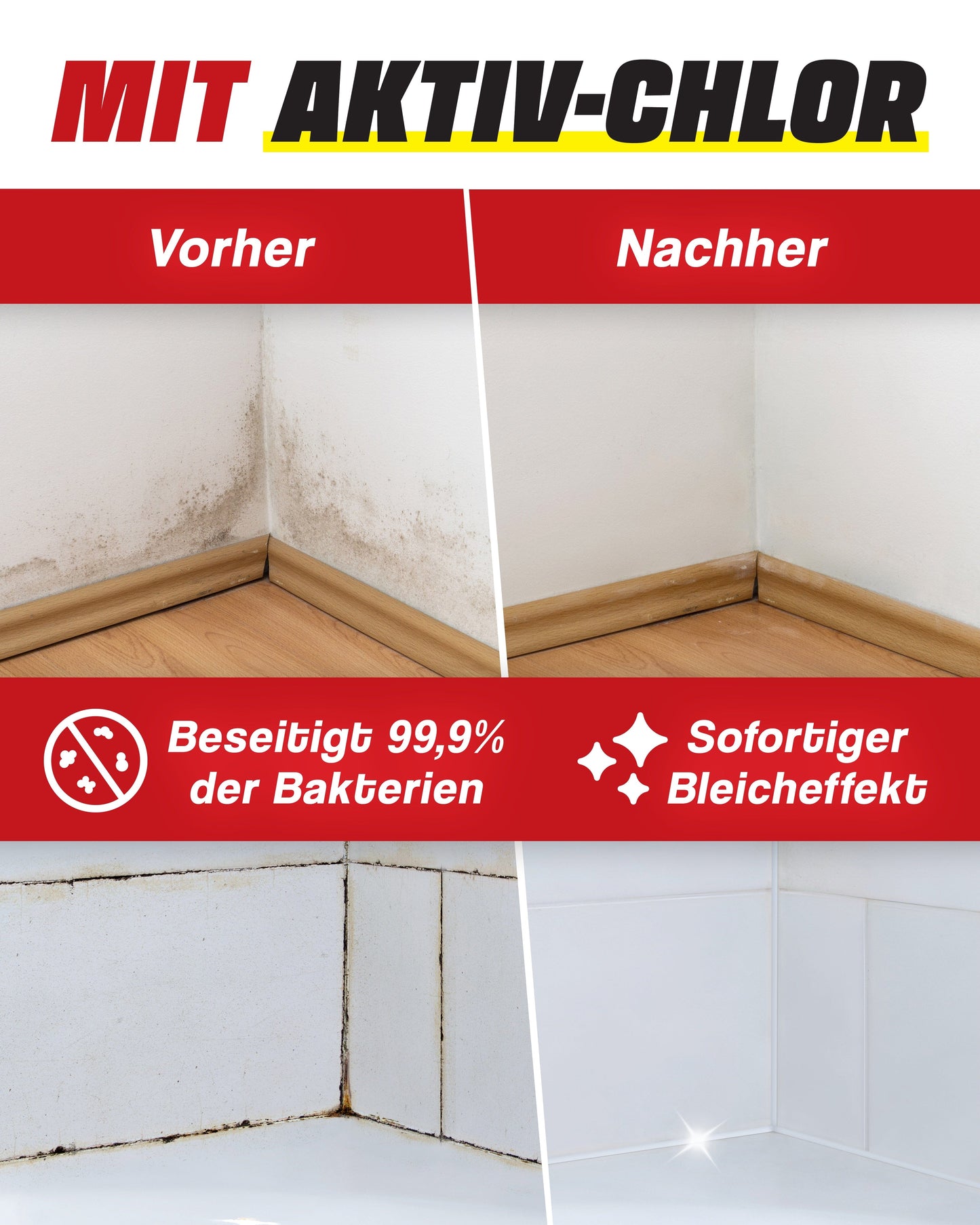 Profi Schimmelentferner Komplett-Set