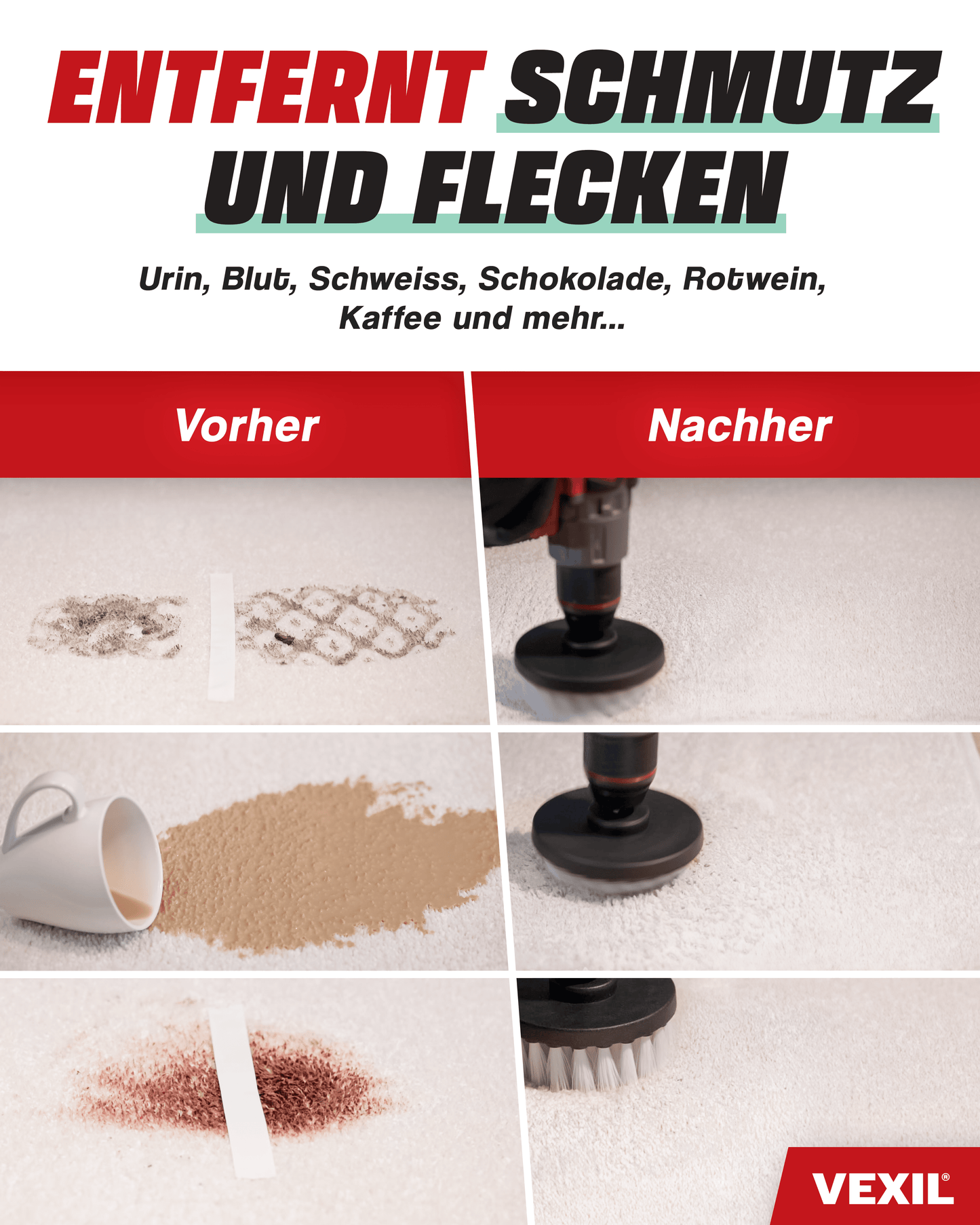 Teppich- & Polsterreiniger Konzentrat