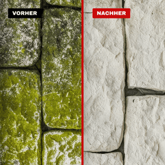 Grünbelagentferner Konzentrat – entfernt Algen, Moos, Pilze & Flechten