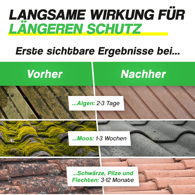 Grünbelagentferner Konzentrat – entfernt Algen, Moos, Pilze & Flechten
