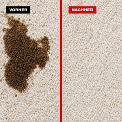 Polster- & Teppich-Reiniger - Entfernt hartnäckigste Verschmutzungen