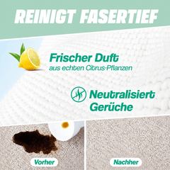 Polster- & Teppich-Reiniger - Entfernt hartnäckigste Verschmutzungen