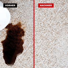Polster- & Teppich-Reiniger - Entfernt hartnäckigste Verschmutzungen