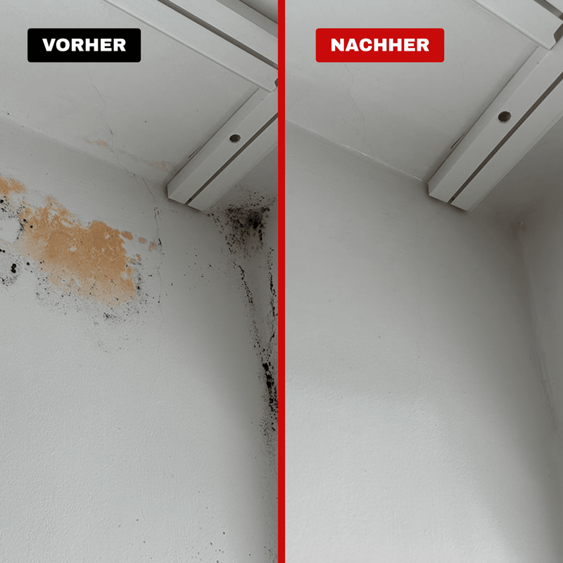 Profi Schimmelentferner für Wand, Bad, Fliesen, Fugen