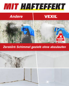 Profi Schimmelentferner Komplett-Set