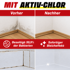Schimmelentferner Set mit innovativem Schimmelschutz