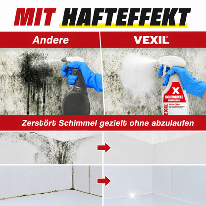 Schimmelentferner Set mit innovativem Schimmelschutz