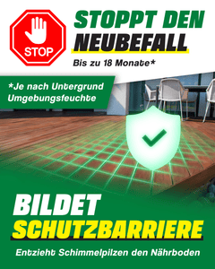 Schimmelschutz - Extreme Schutzbarriere gegen Neubefall