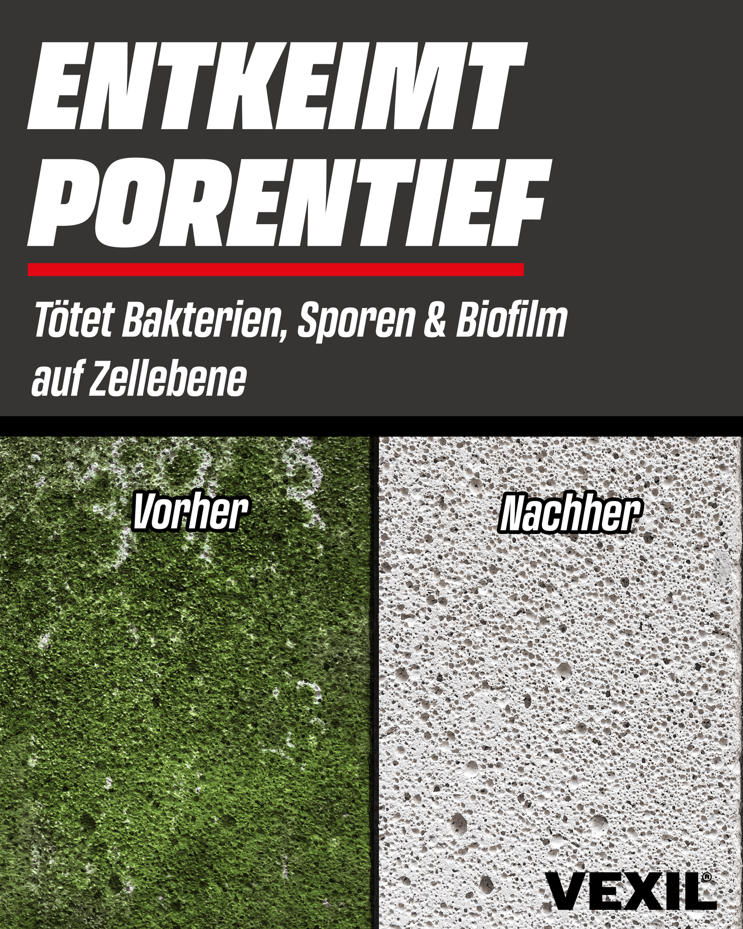 Steinreiniger Intensiv