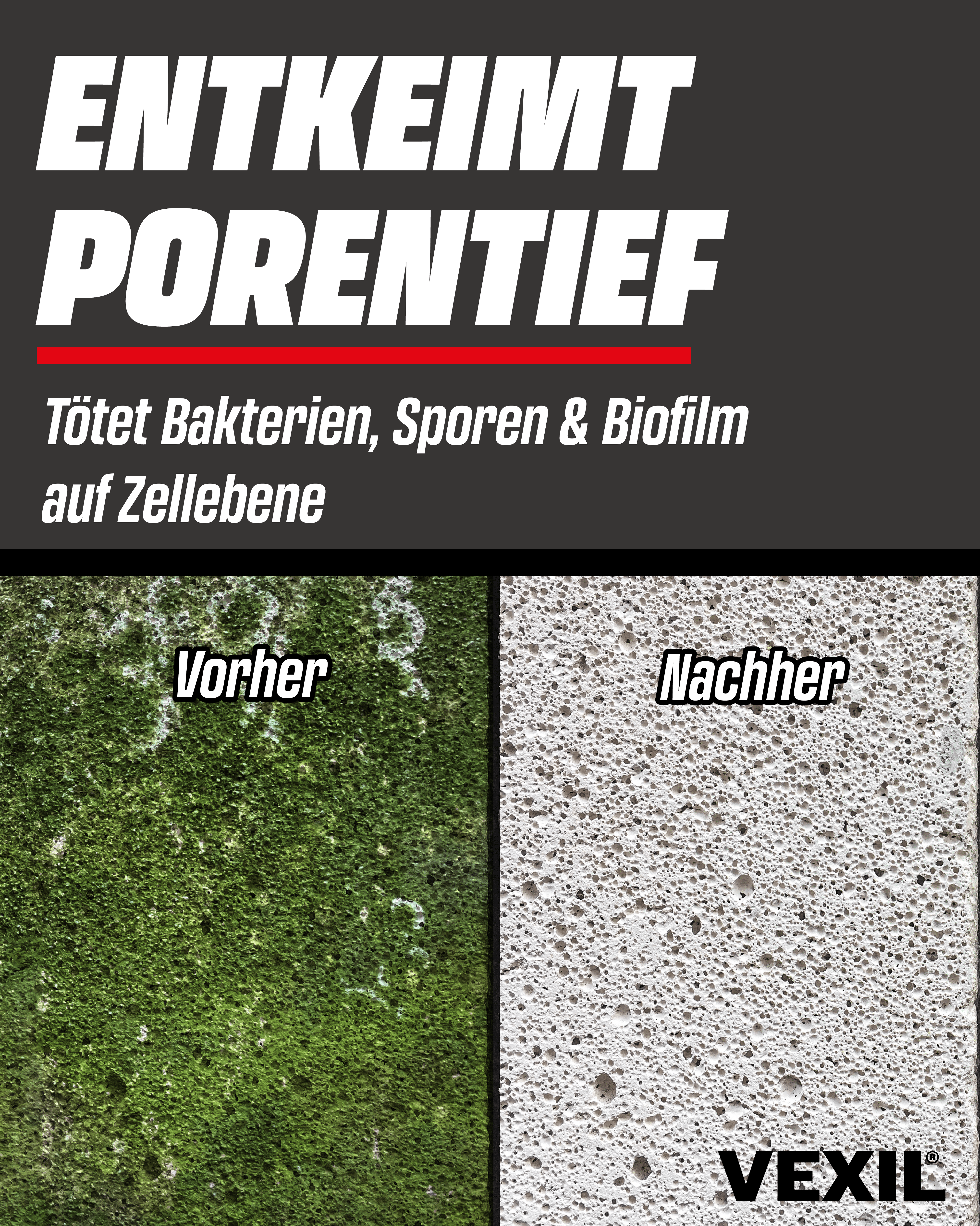 Steinreiniger Intensiv