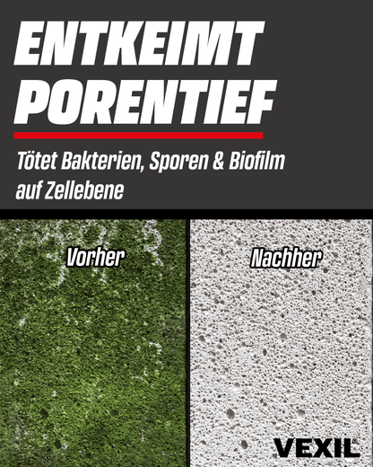 Steinreiniger Intensiv