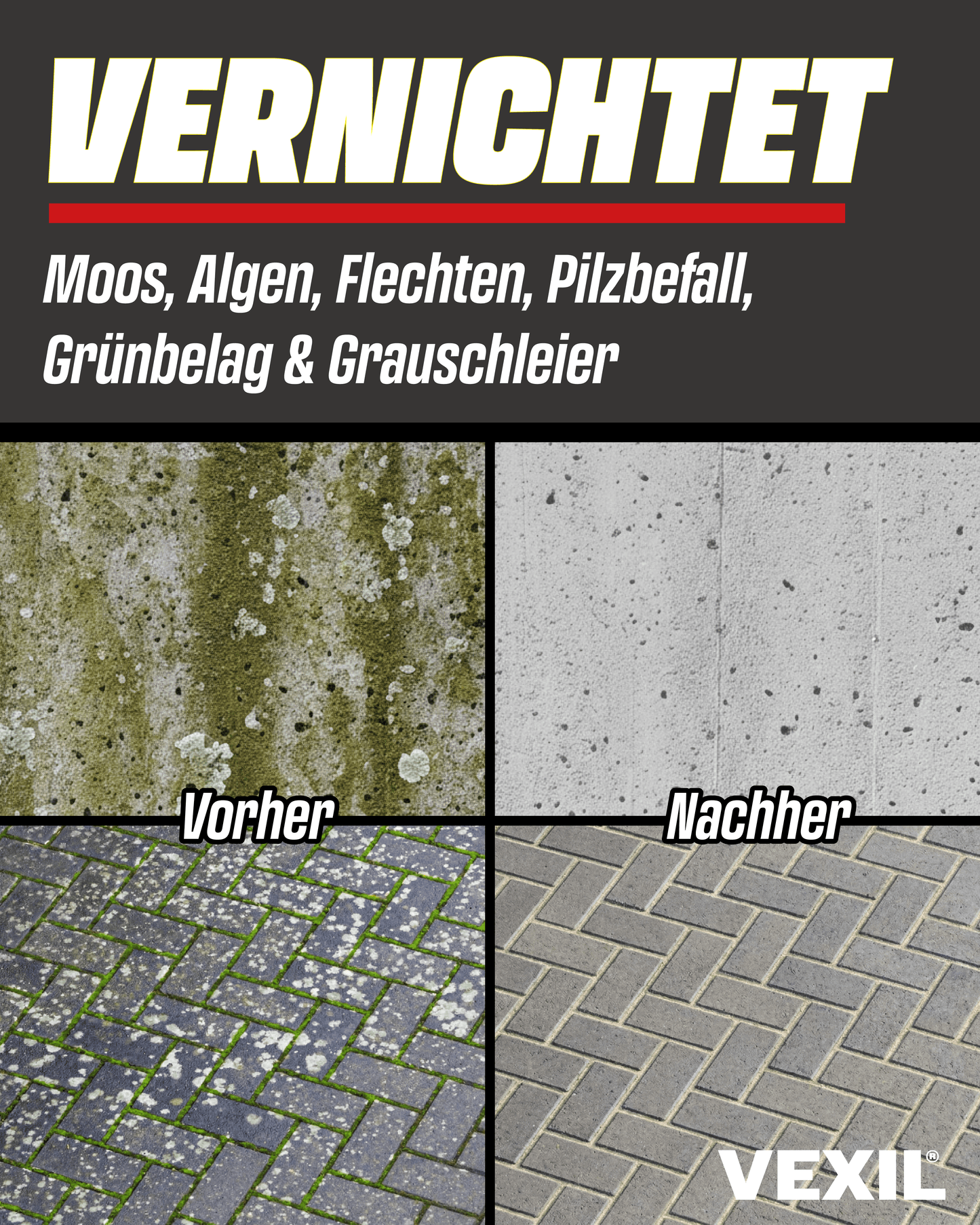 Steinreiniger Intensiv