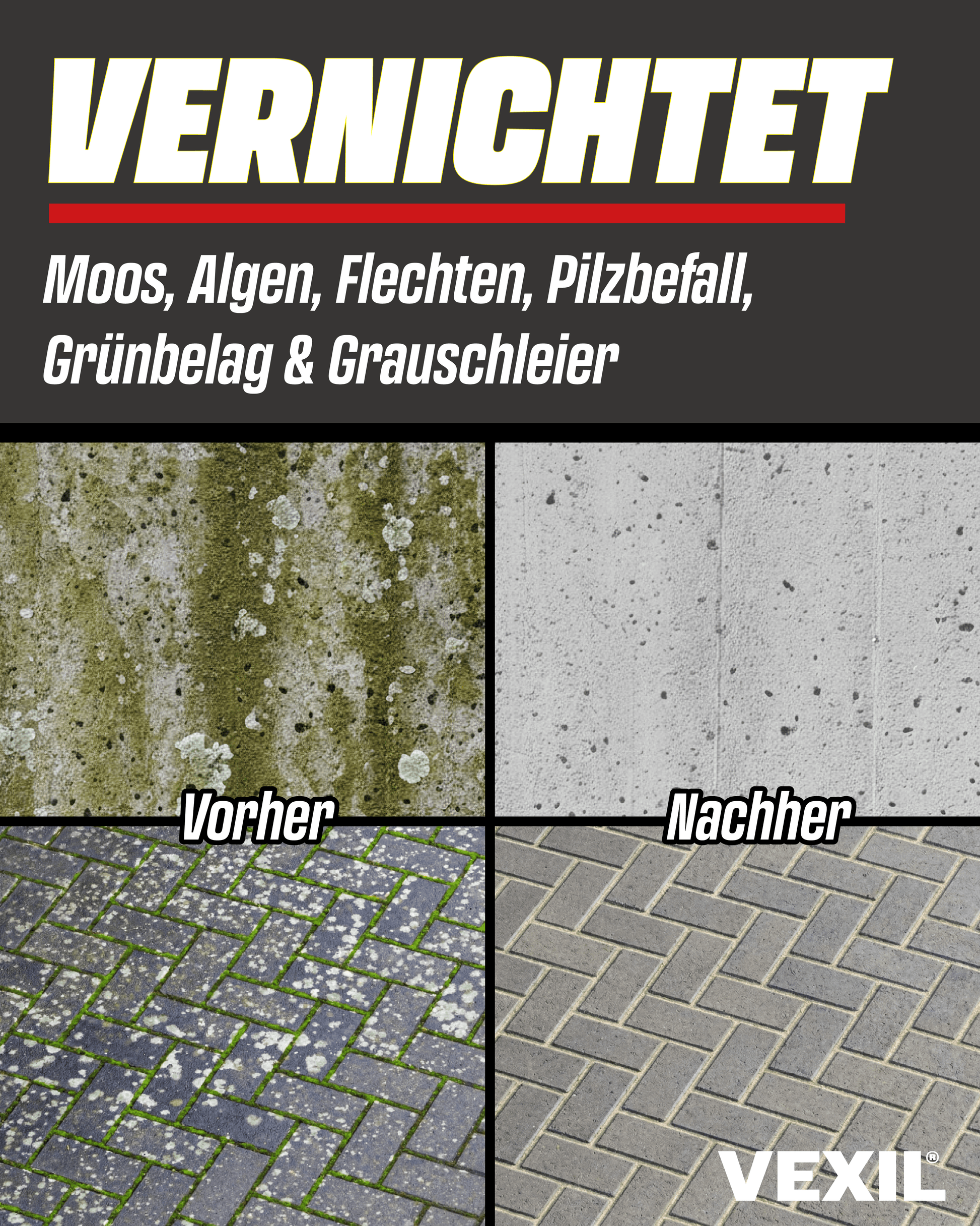 Steinreiniger Intensiv