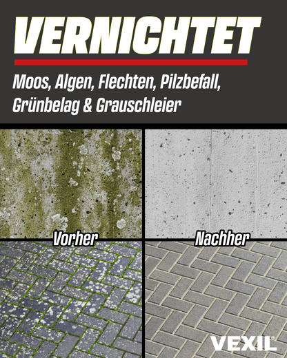 Steinreiniger Intensiv