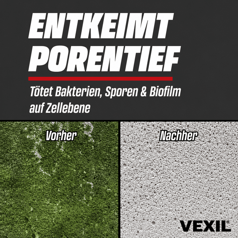 Steinreiniger Intensiv