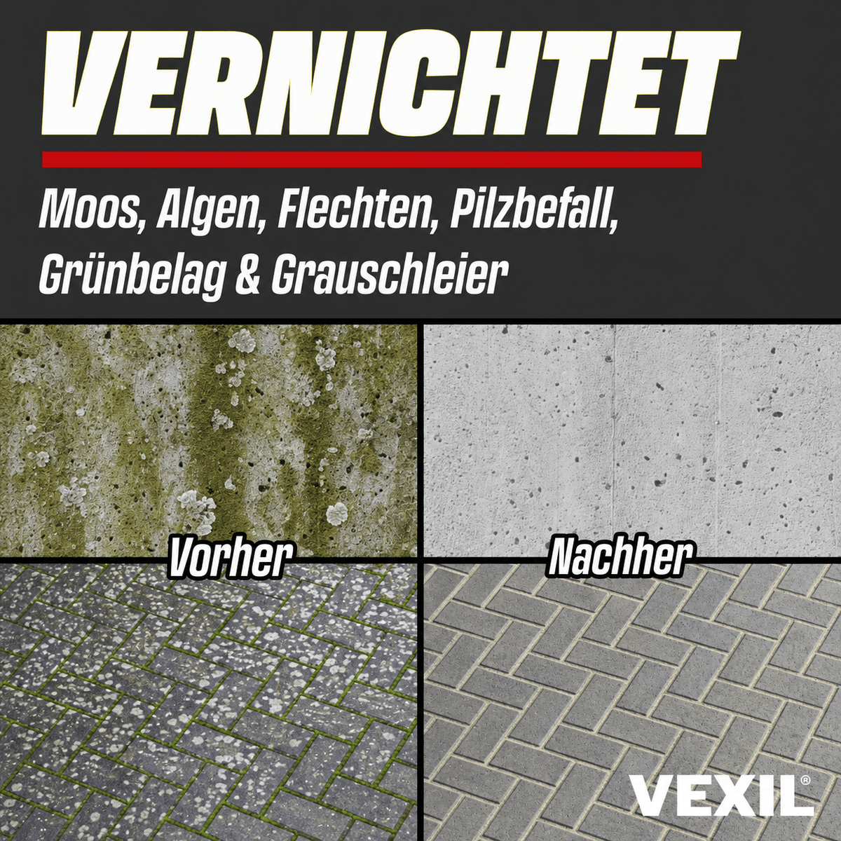 Steinreiniger Intensiv