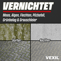 Steinreiniger Intensiv