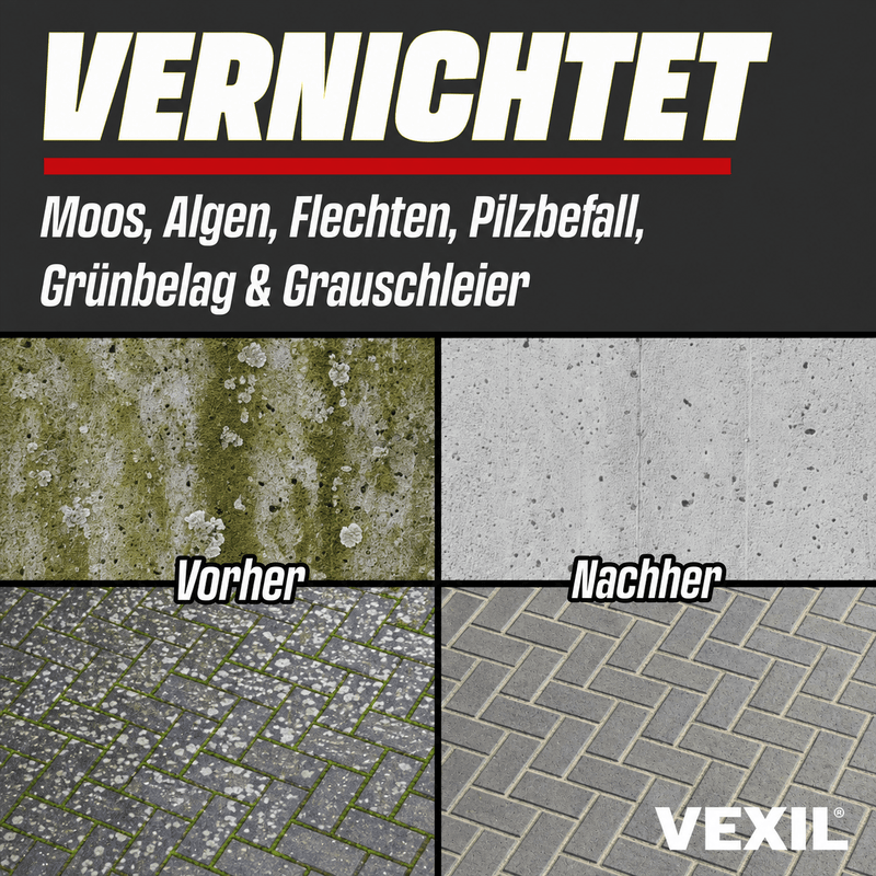 Steinreiniger Intensiv