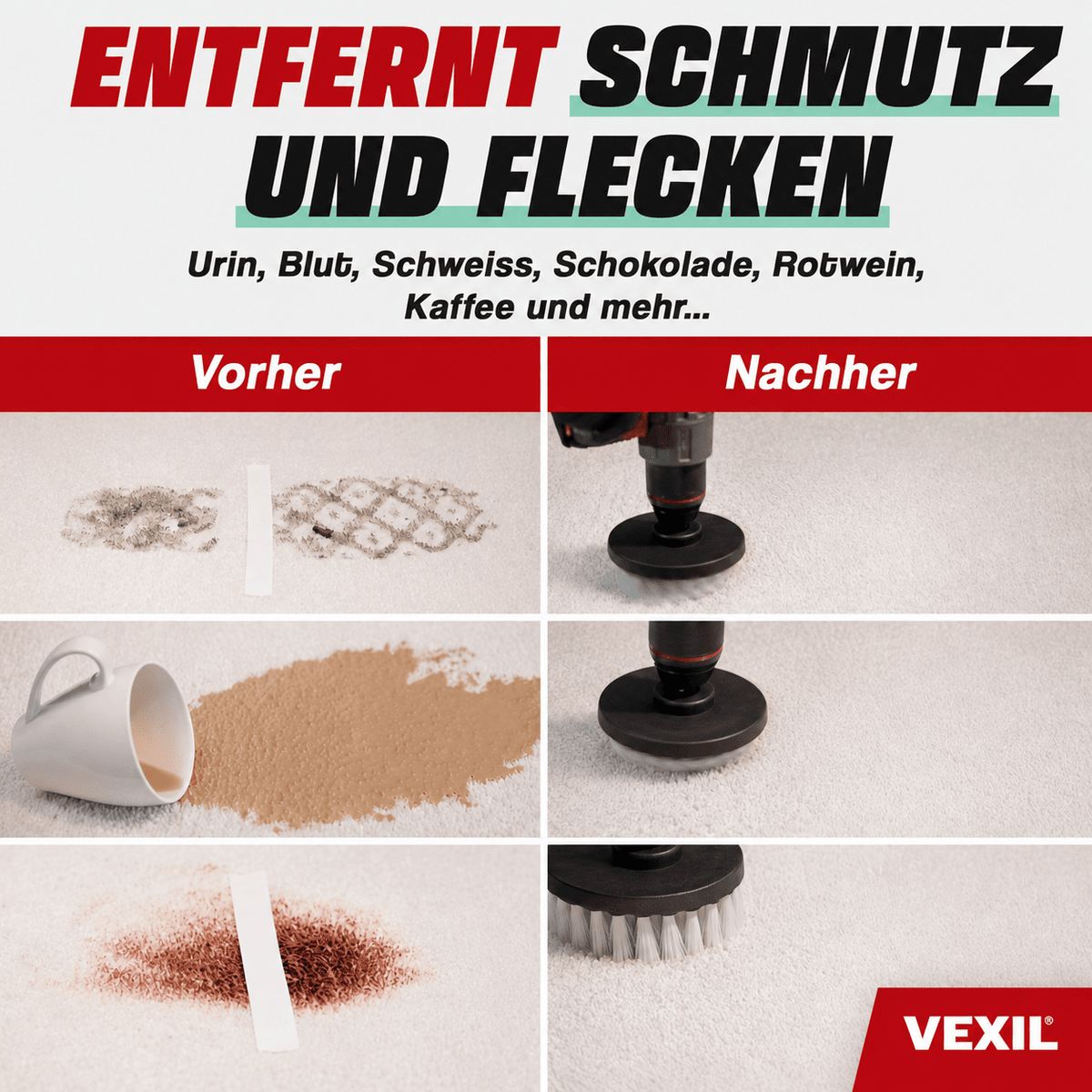 Teppich- & Polsterreiniger Konzentrat