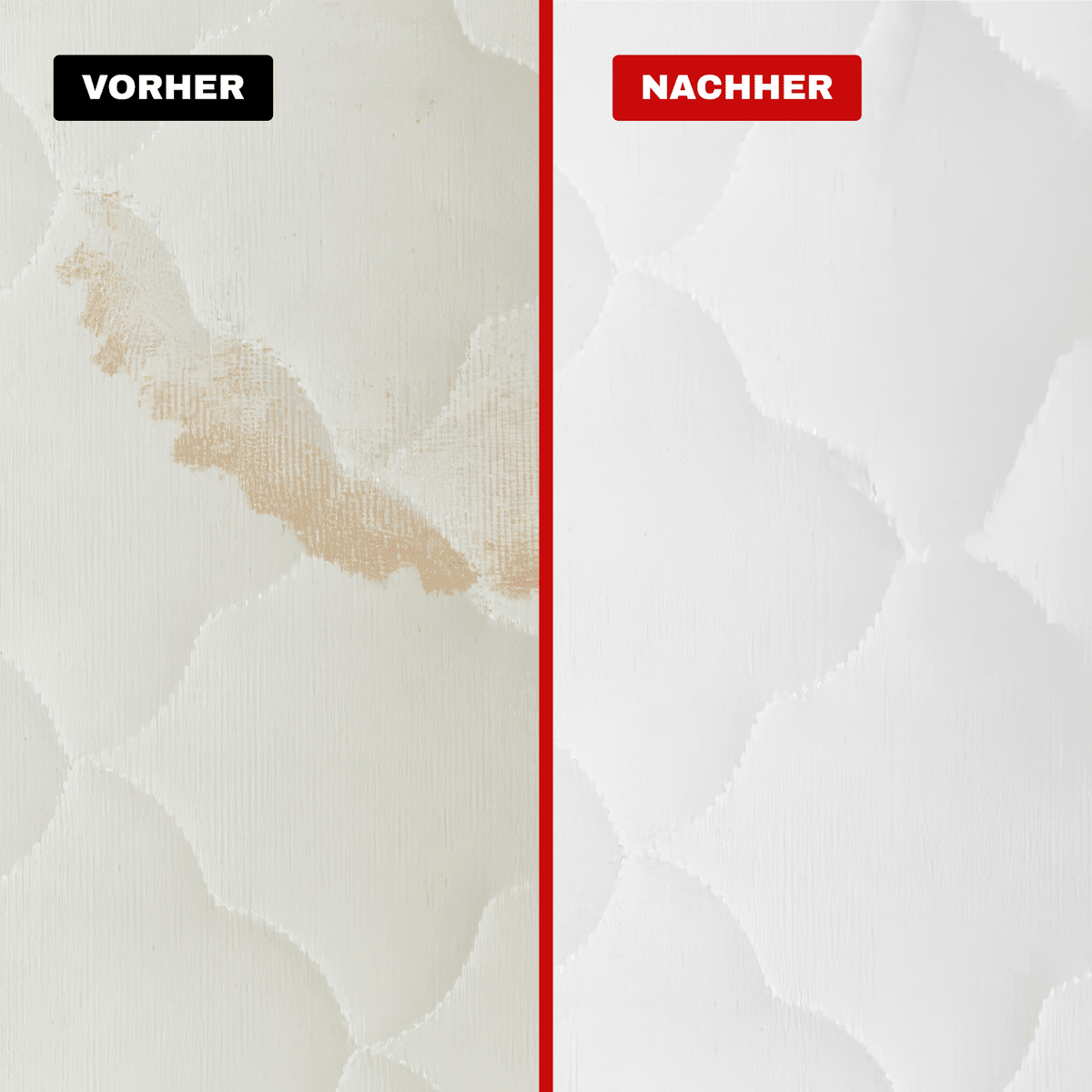 Teppich- & Polsterreiniger Konzentrat