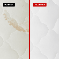 Teppich- & Polsterreiniger Konzentrat