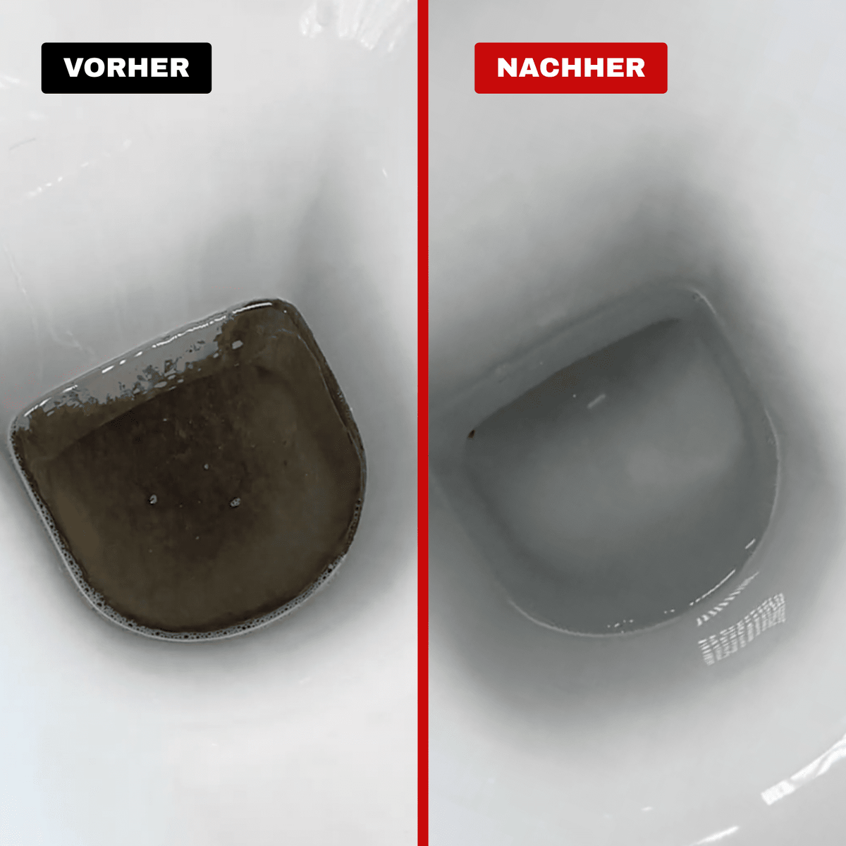Urinsteinentferner extra Stark - entfernt hartnäckigen Urin- & Kalkstein
